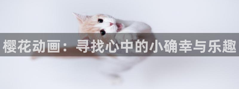 里番番动漫在线观看:樱花动画:寻找心中的小确幸与乐趣配图