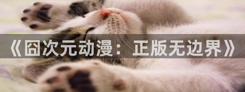 魔物里番在线观看动漫:《囧次元动漫:正版无边界》配图