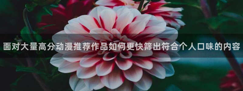 里番3d动漫在线观看：面对大量高分动漫推荐作品如何更快筛出符合个人口味的内容配图