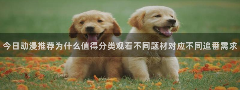 番里动漫在线观看：今日动漫推荐为什么值得分类观看不同题材对应不同追番需求配图