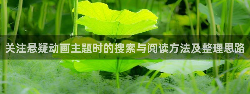 里 番动漫在线观看：关注悬疑动画主题时的搜索与阅读方法及整理思路配图