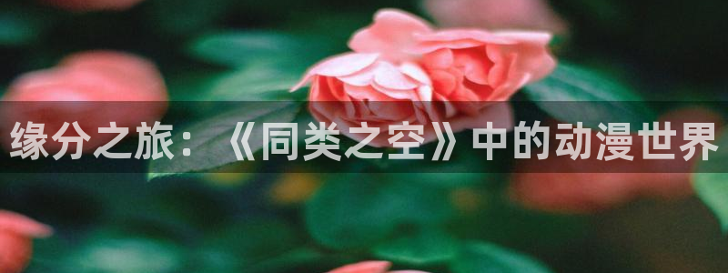 里番动漫A片在线观看：缘分之旅：《同类之空》中的动漫世界配图