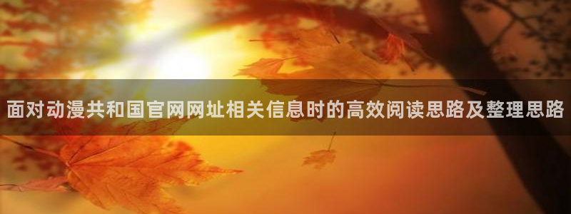 晚安动漫里番在线观看:面对动漫共和国官网网址相关信息时的高效阅读思路及整理思路配图