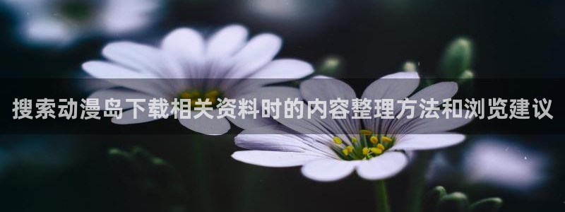 小女里番动漫在线观看:搜索动漫岛下载相关资料时的内容整理方法和浏览建议配图