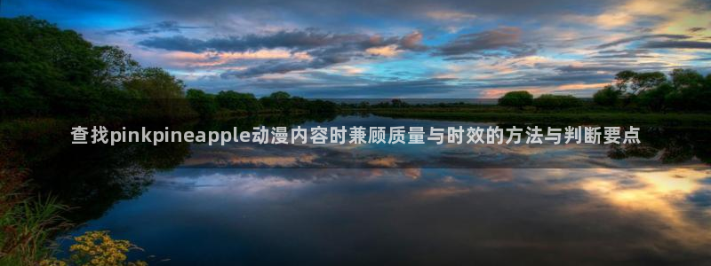 医里番动漫在线观看:查找pinkpineapple动漫内容时兼顾质量与时效的方法与判断要点配图