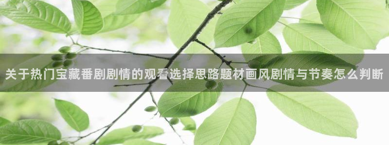 医里番动漫在线观看:关于热门宝藏番剧剧情的观看选择思路题材画风剧情与节奏怎么判断配图