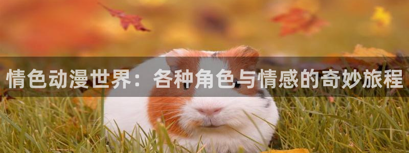 里番纲手在线观看动漫:情色动漫世界:各种角色与情感的奇妙旅程配图