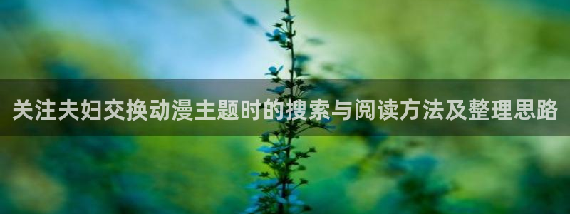 里番动漫在线观看网站:关注夫妇交换动漫主题时的搜索与阅读方法及整理思路配图